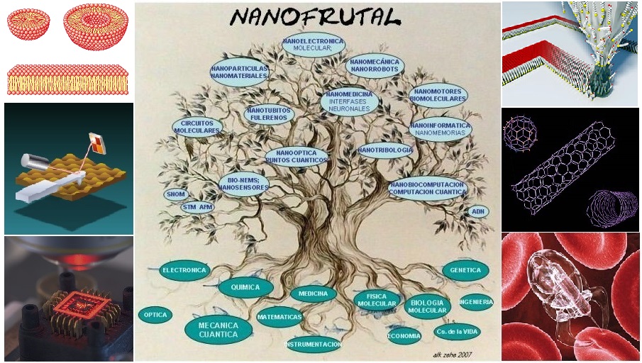 Nanofrutal: esquema en forma de árbol con aplicaciones de nanotecnología